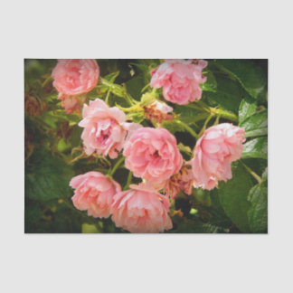 Coming up Roses Gift Tissue Tissue Paper