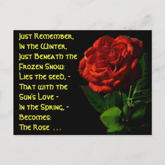 Coming up Roses... Postcard