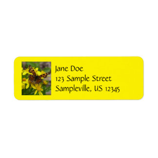 Comma Butterfly in Glacier National Park Label