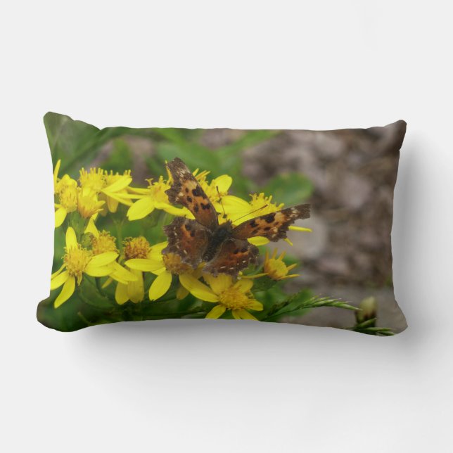 Comma Butterfly in Glacier National Park Lumbar Pillow (Front)