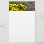 Comma Butterfly in Glacier National Park Stationery