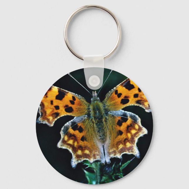Comma butterfly keychain (Front)