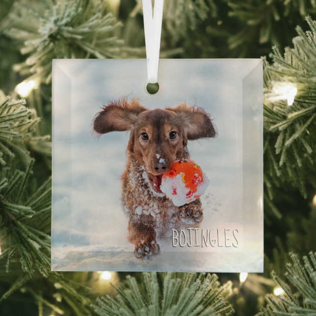 Commemorative Keepsake Pet Photo  Glass Ornament (Insitu)