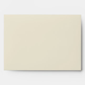 Commercial Modern Eggshell Envelope
