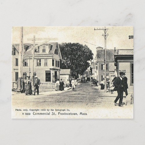 Commercial St Provincetown Vintage Postcard