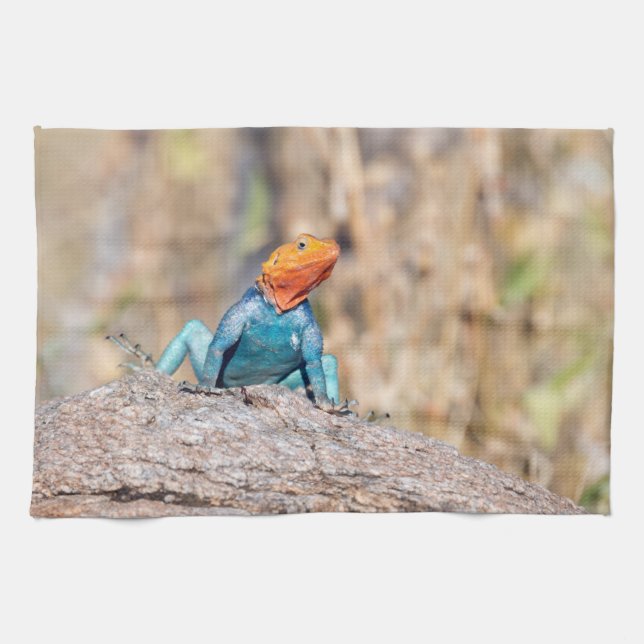 Common Agama Kitchen Towel (Horizontal)