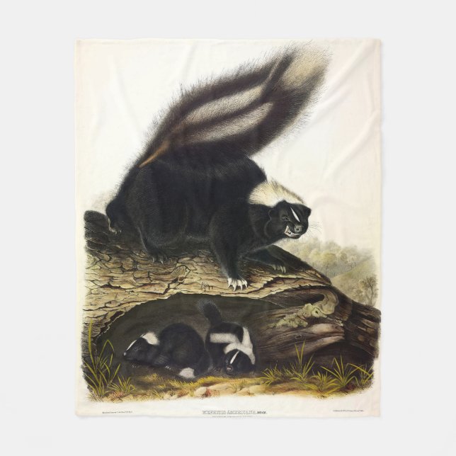 Common American Skunk or Striped Skunk, by Audubon Fleece Blanket (Front)