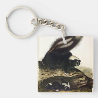 Common American Skunk or Striped Skunk, by Audubon Keychain