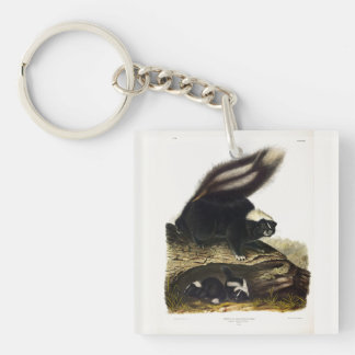 Common American Skunk or Striped Skunk, by Audubon Keychain