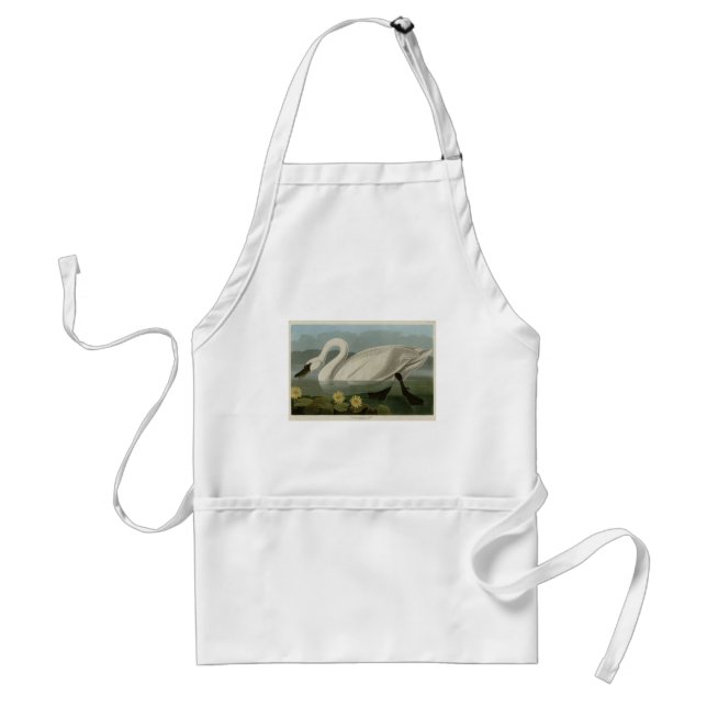 Common American Swan - Audubon's Birds of America Adult Apron (Front)