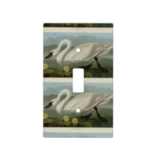 Common American Swan - Audubon's Birds of America Light Switch Cover