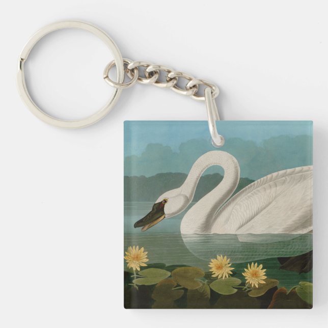 Common American Swan Birds of America Audubon Keychain (Front)