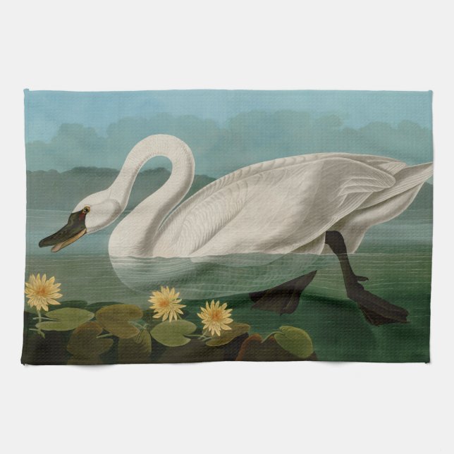 Common American Swan Birds of America Audubon Kitchen Towel (Horizontal)