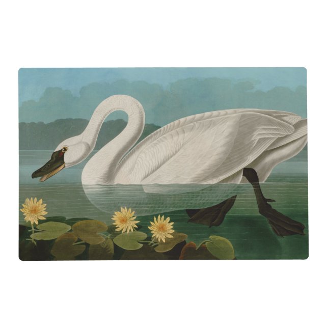 Common American Swan Birds of America Audubon Placemat (Front)