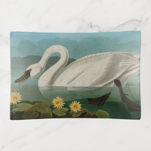 Common American Swan Birds of America Audubon Trinket Tray