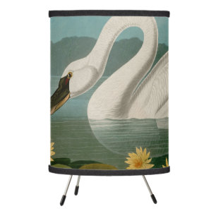Common American Swan Birds of America Audubon Tripod Lamp