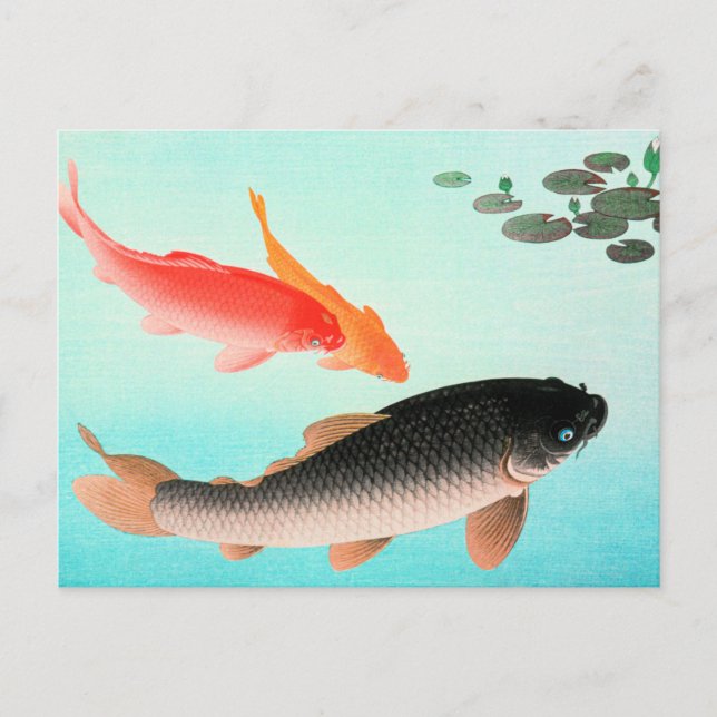 Common and Golden Carp, fine art by Ohara Koson Postcard (Front)