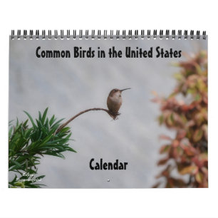 Common Birds in the United States Calendar
