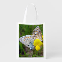 Common Blue Butterflies Reusable Bag