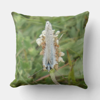 Common Blue Butterfly Front Looking Throw Pillow