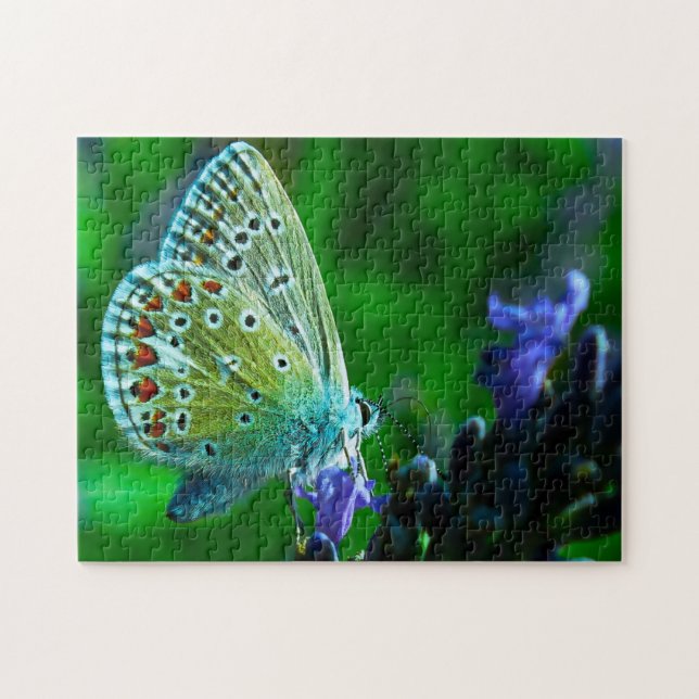 Common Blue Butterfly . Jigsaw Puzzle (Horizontal)