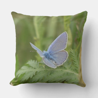 Common Blue Butterfly on Leaf Throw Pillow