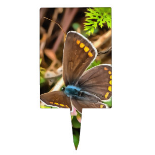 Common Blue Butterfly Polyommatus Icarus Painting Cake Topper