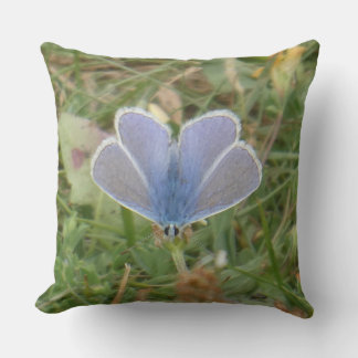 Common Blue Butterfly Spread Wings Throw Pillow