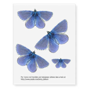 Common blue butterfly transfers temporary tattoos