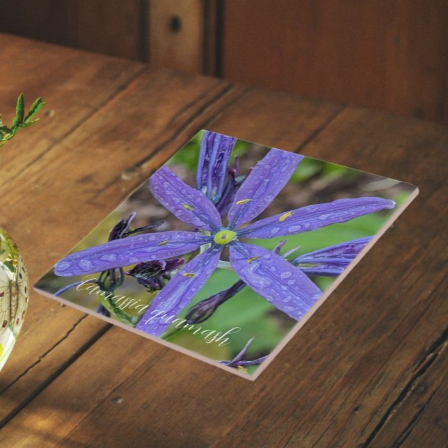 Common Blue Camas Floral Ceramic Tile (In Situ)