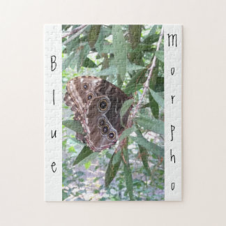 Common Blue Morpho Butterfly Jigsaw Puzzle