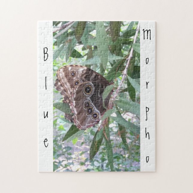 Common Blue Morpho Butterfly Jigsaw Puzzle (Vertical)