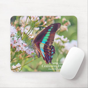 Common Bluebottle Mouse Pad