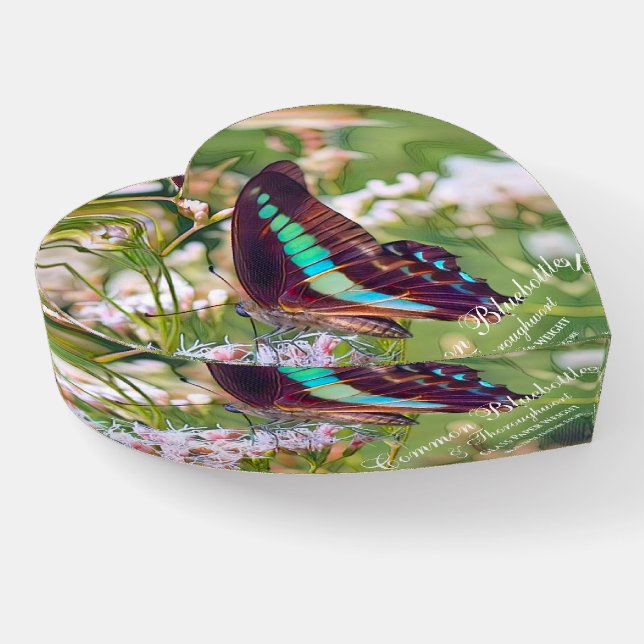 Common Bluebottle & Thoroughwort Paperweight (Angled)