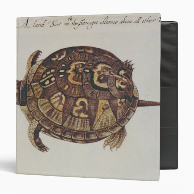 Common Box Tortoise Binder (Front/Inside)