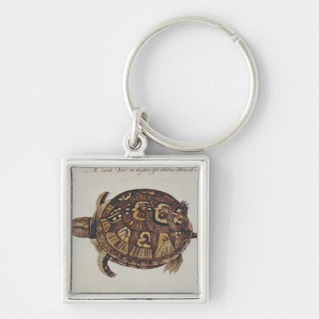 Common Box Tortoise Keychain (Front)