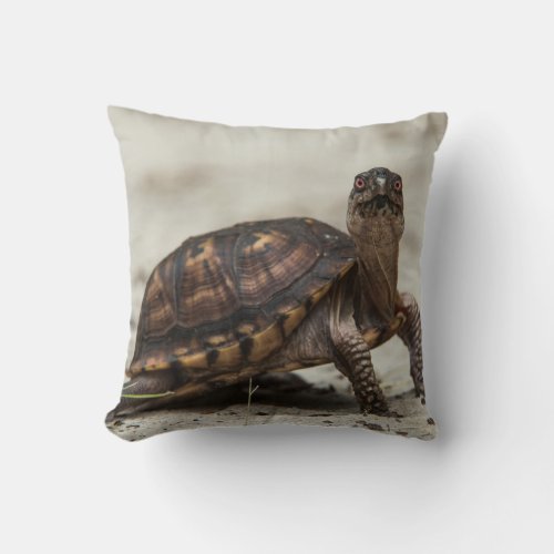 Common box turtle throw pillow