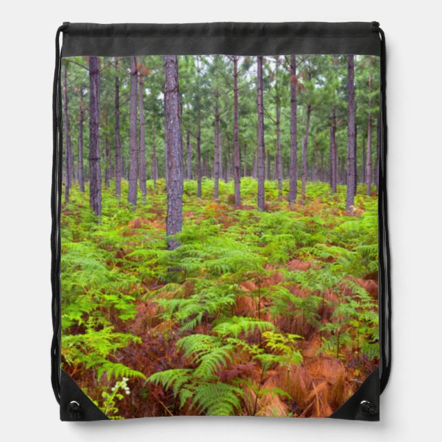 Common Bracken (Pteridium Aquilinum) Growing Drawstring Bag (Front)
