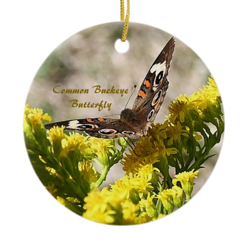 Common Buckey Butterfly Photo Ornament