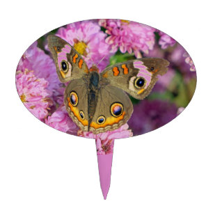 Common Buckeye Butterfly Cake Topper