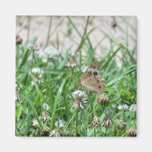 Common Buckeye Butterfly Magnet