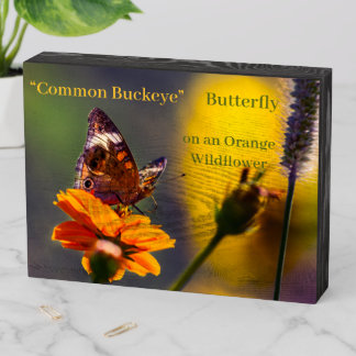 “Common Buckeye” Butterfly on an Orange Wildflower Wooden Box Sign