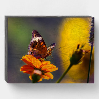 “Common Buckeye” Butterfly on an Orange Wildflower Wooden Box Sign