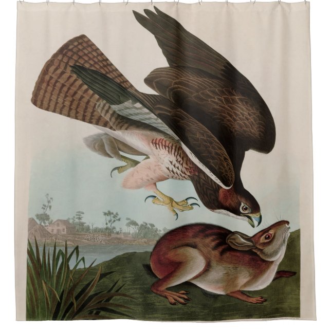 Common Buzzard Birds of America Audubon Print Shower Curtain (Front)