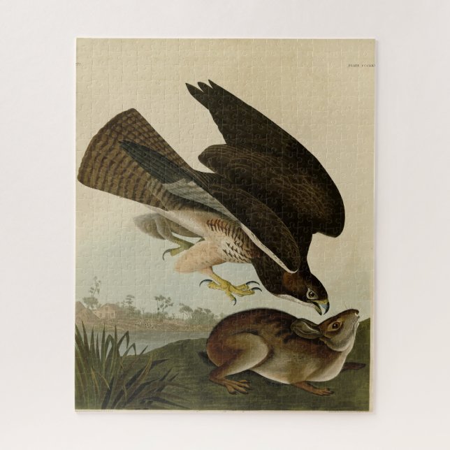 Common Buzzard - from Audubon's Birds of America Jigsaw Puzzle (Vertical)