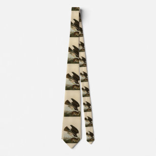 Common Buzzard - from Audubon's Birds of America Neck Tie