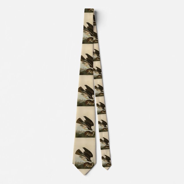 Common Buzzard - from Audubon's Birds of America Neck Tie (Front)