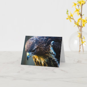 Common Buzzard Greeting Card