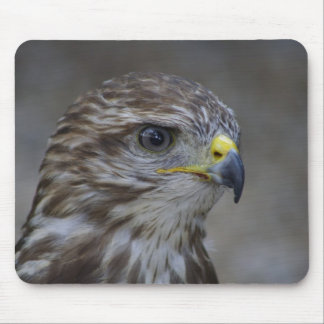 Common Buzzard Portrait Mouse Pad