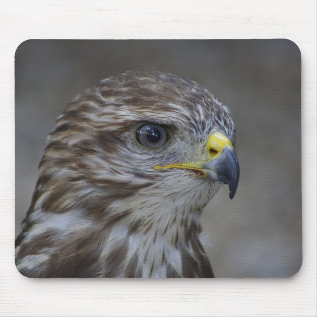 Common Buzzard Portrait Mouse Pad (Front)